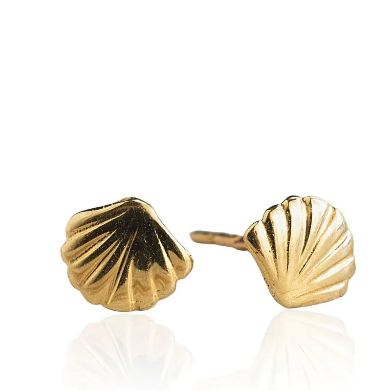 14K Yellow Gold Shell Stud Earrings