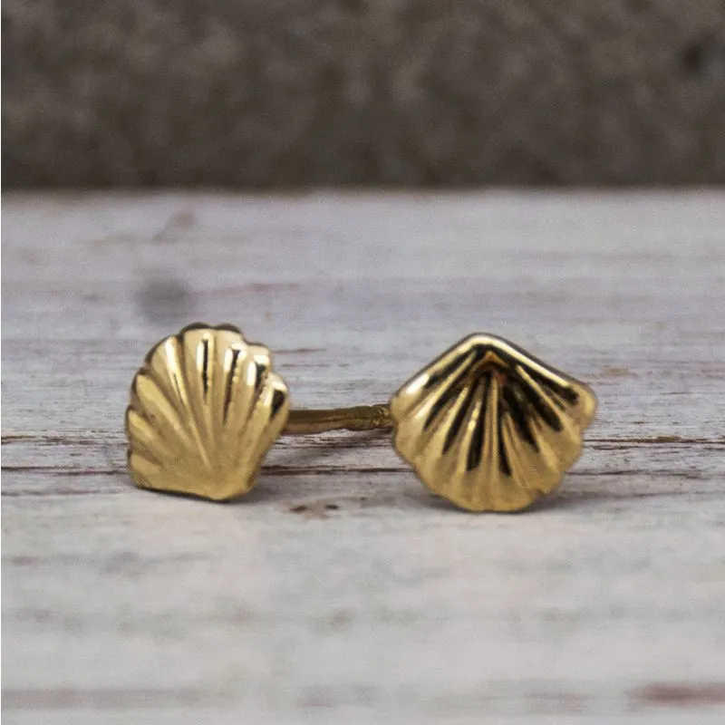 14K Yellow Gold Shell Stud Earrings