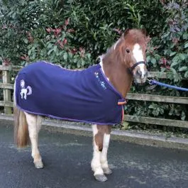 Cameo Equine Rainbow Riders Fleece Rug