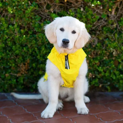 Canada Pooch Grow With Me Raincoat YELLOW