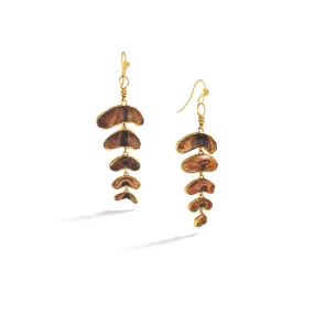 Chiton Shell Earrings