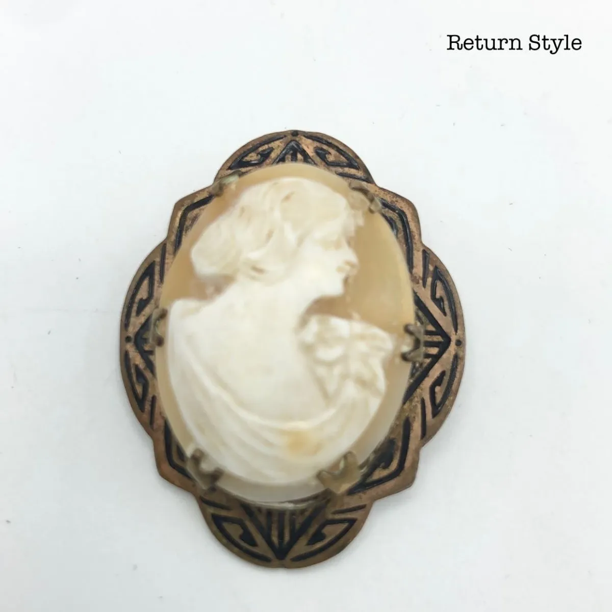 Cream Brass shell Cameo Pin