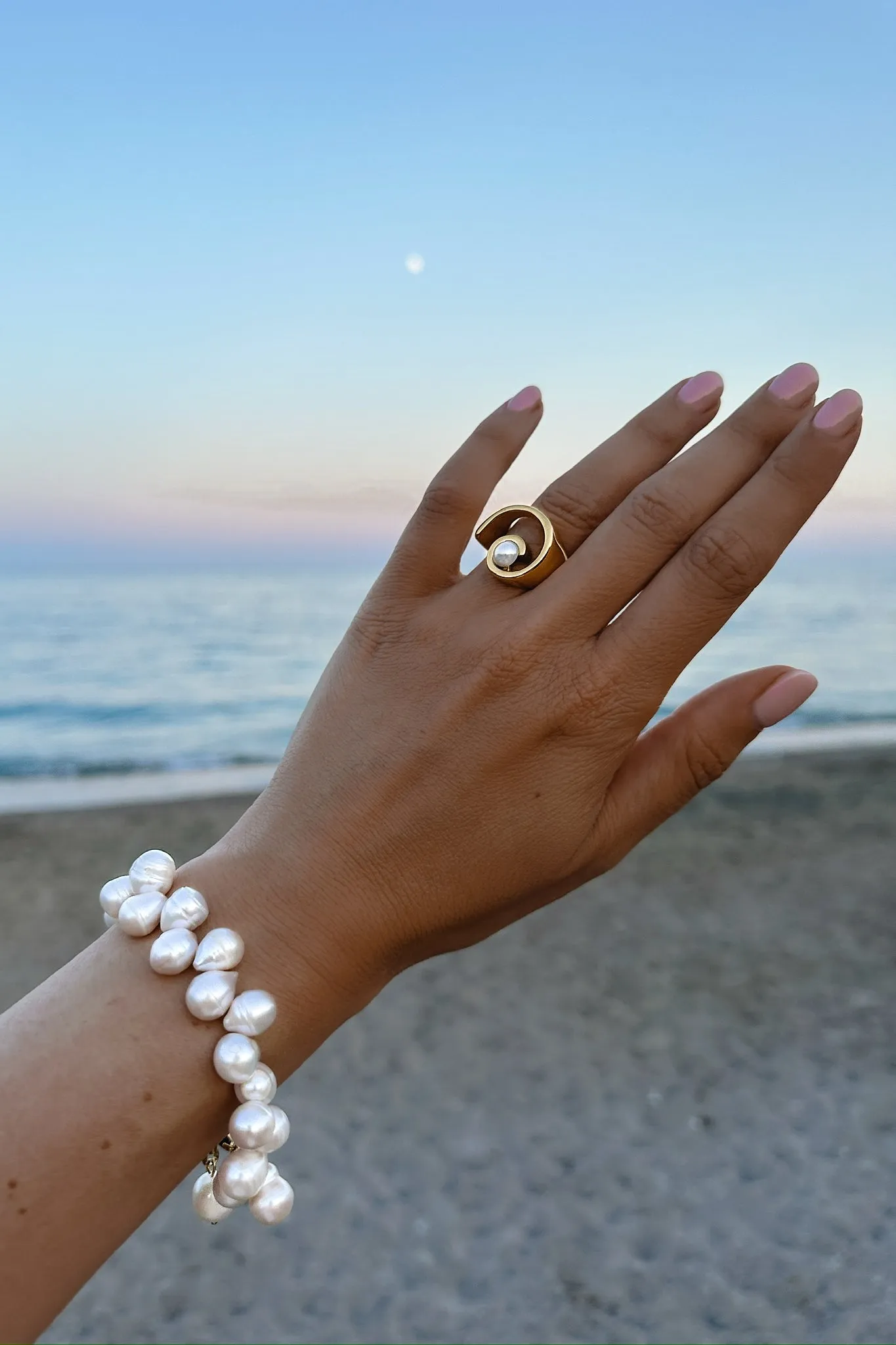 Nautilus Shell Ring