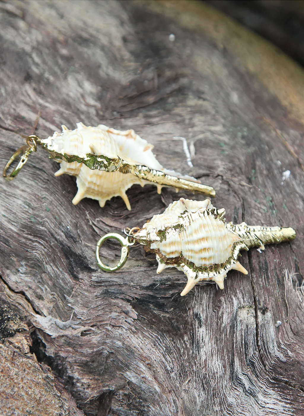 Sea Shell Earring