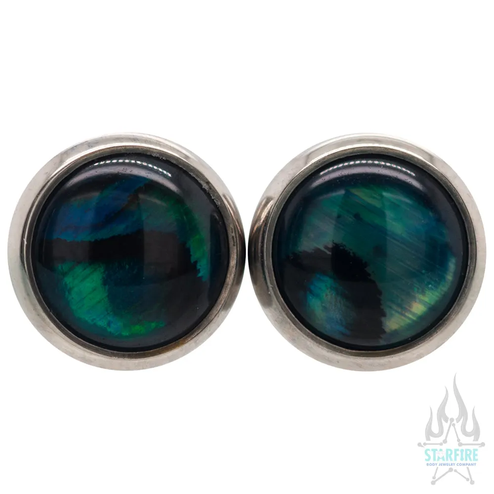 Titanium Natural Stone Cabochon Gem Plugs - Blue Paua Shell