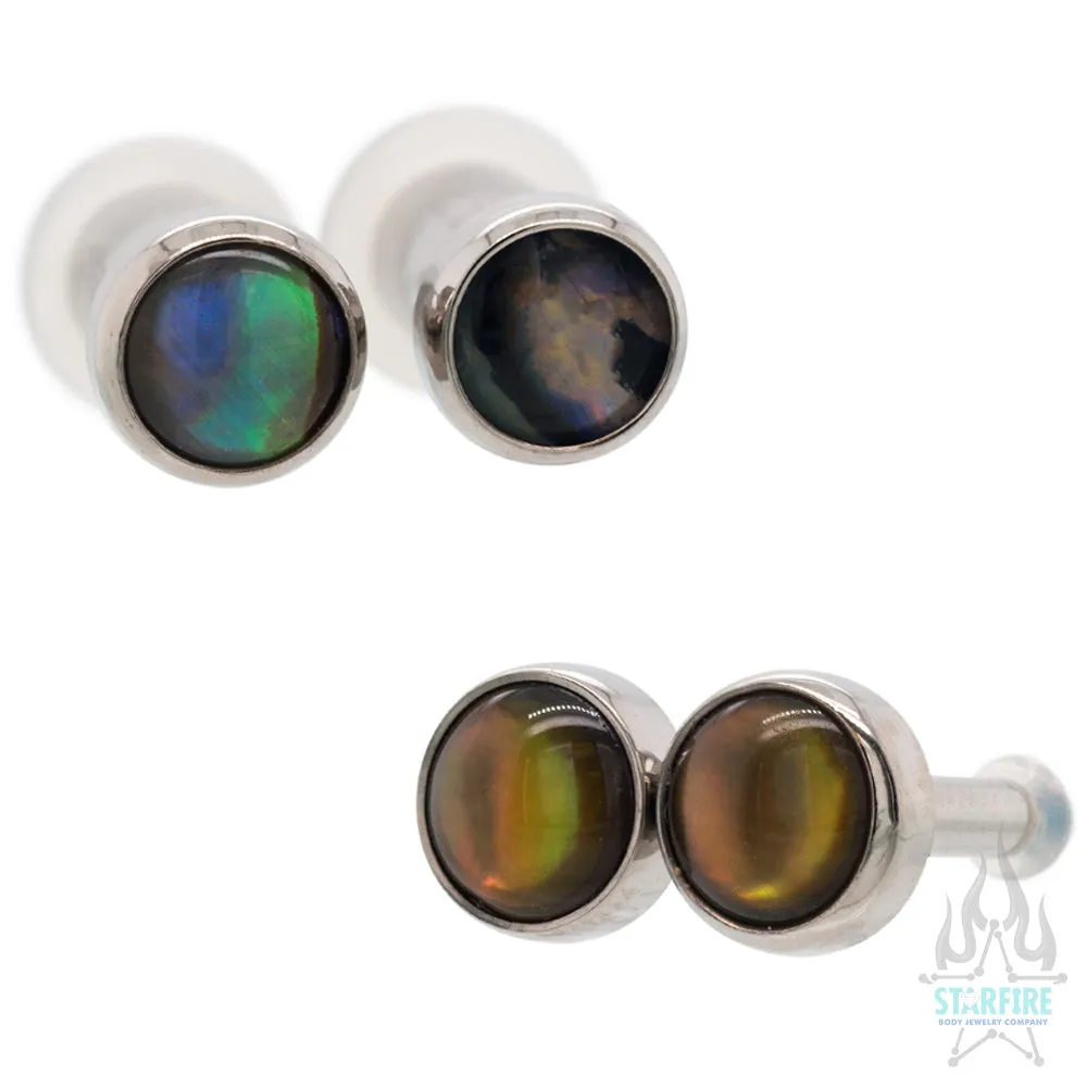 Titanium Natural Stone Cabochon Gem Plugs - Natural Paua Shell