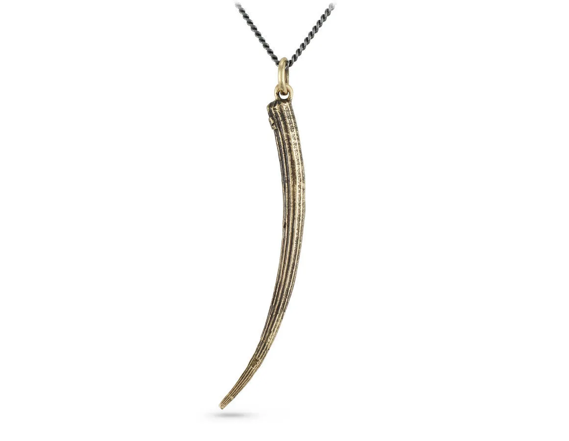 Tusk Shell Necklace - Bronze