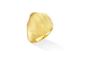 Yellow Gold Shell Pinky Ring